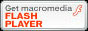 flash player