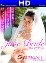 Emi Koizumi Secret of the bride obscene Model Collection