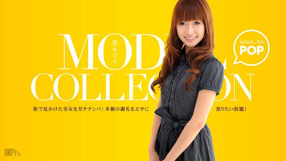 Model Collection 104 (Caribbeancom Premium-060311_086)